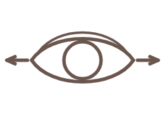 目が左右に広がることを矢印で示した図