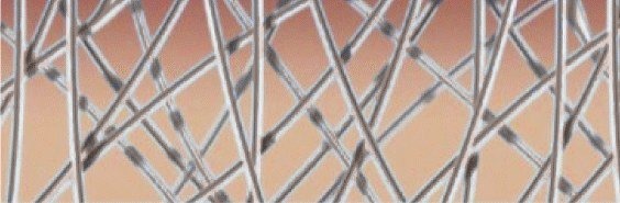 رسم توضيحي للطبقة العميقة من الأدمة بعد الإجراء، حيث الألياف مملوءة بكثافة وانتظام