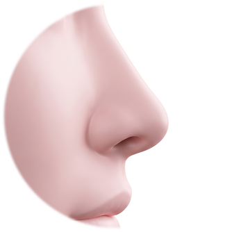Side-profile diagram in which the side line of the nose reads as an arrow shape