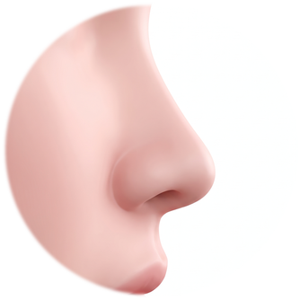 Side-profile diagram with the nasal tip anchored by sutures so it does not droop