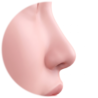 Side-profile diagram measuring the length from between the brows to the nasal tip