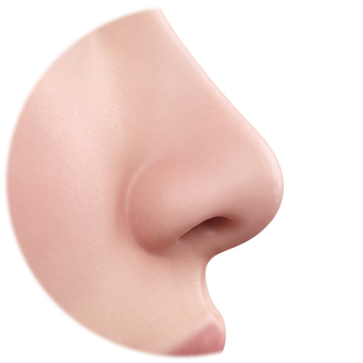 Side-profile diagram with a sharply angular nasal tip