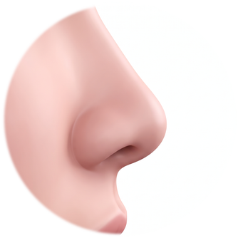 Side-profile diagram with the nasal tip rotated downward