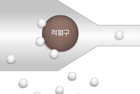 혈관 밖에 산소분자가 남아 있는 확대 도해