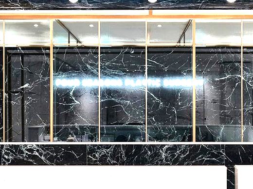 لافتة نيون FOUR SEASONS PLASTIC SURGERY مثبتة على جدار خلفي من الرخام الأسود