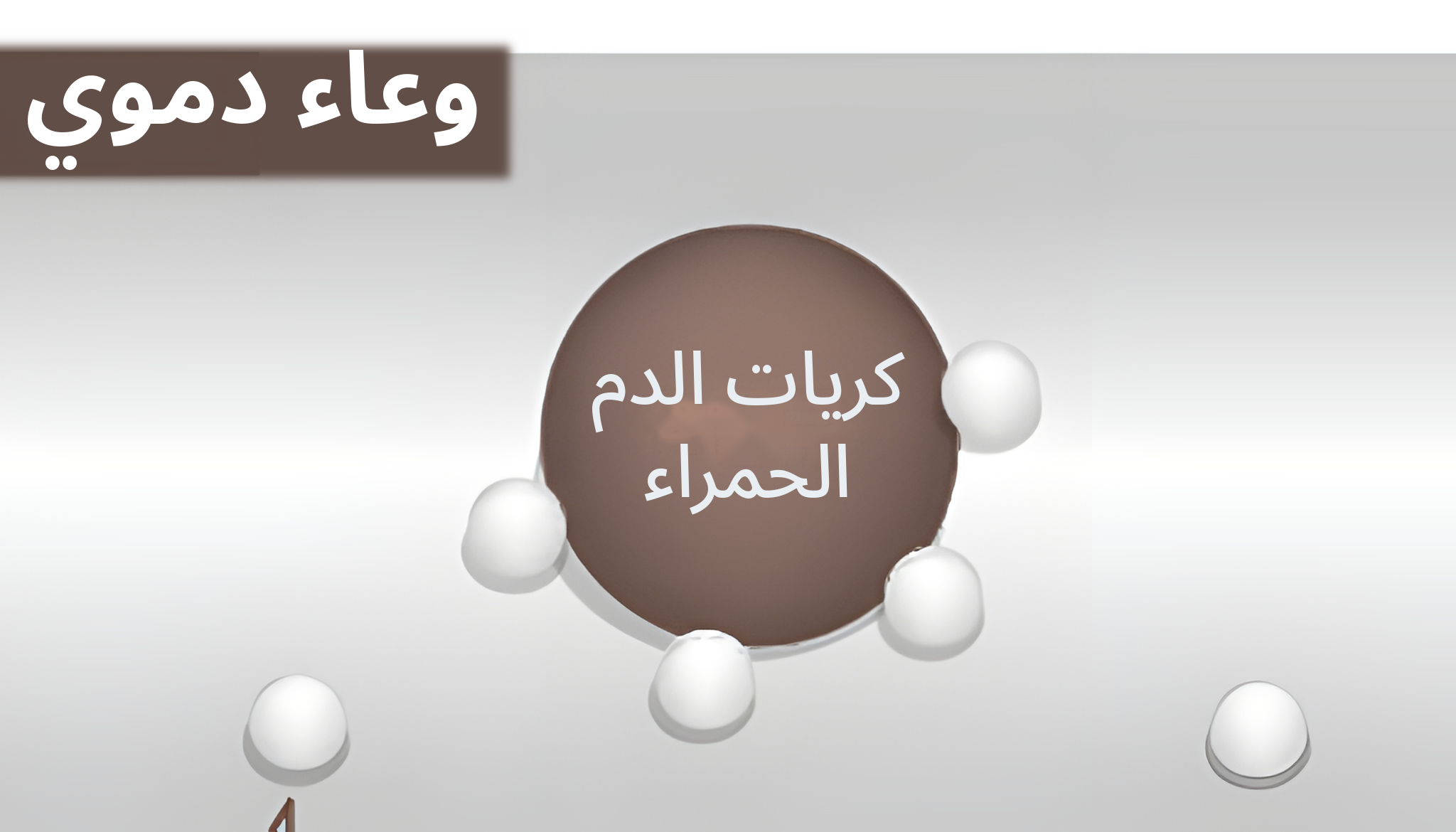 رسم توضيحي مكبّر داخل وعاء دموي تلتصق فيه جزيئات الأكسجين بكريات الدم الحمراء