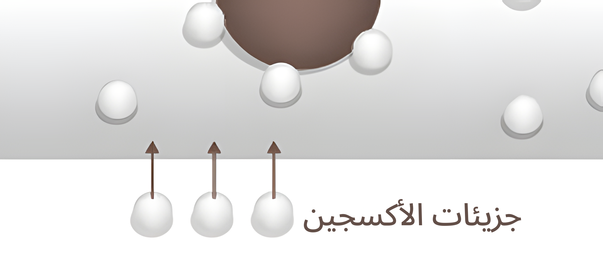 رسم توضيحي مكبّر لجزيئات الأكسجين وهي تدخل إلى الدم من أسفل الوعاء الدموي