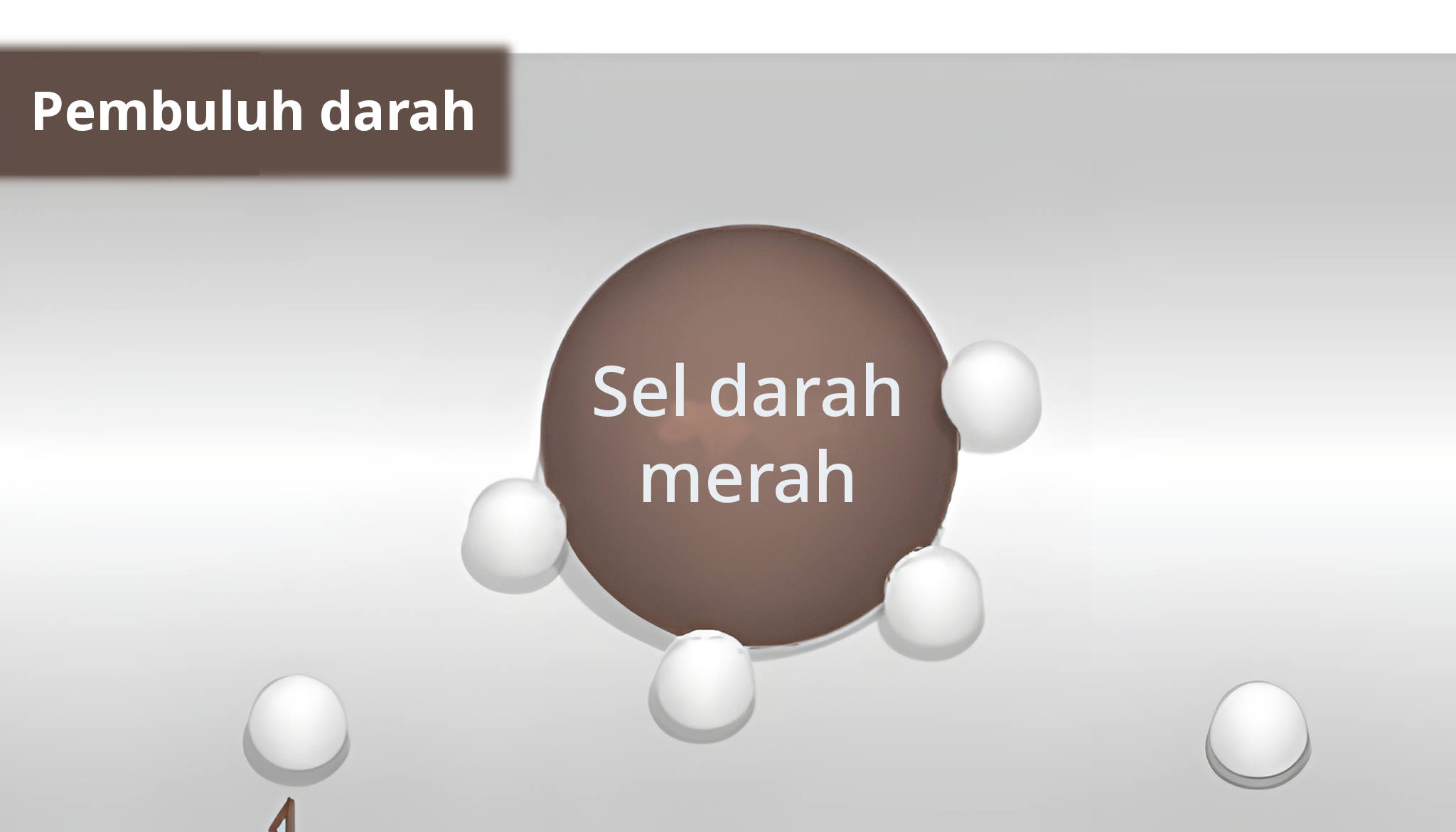 Ilustrasi pembesaran bagian dalam pembuluh darah dengan molekul oksigen menempel pada sel darah merah