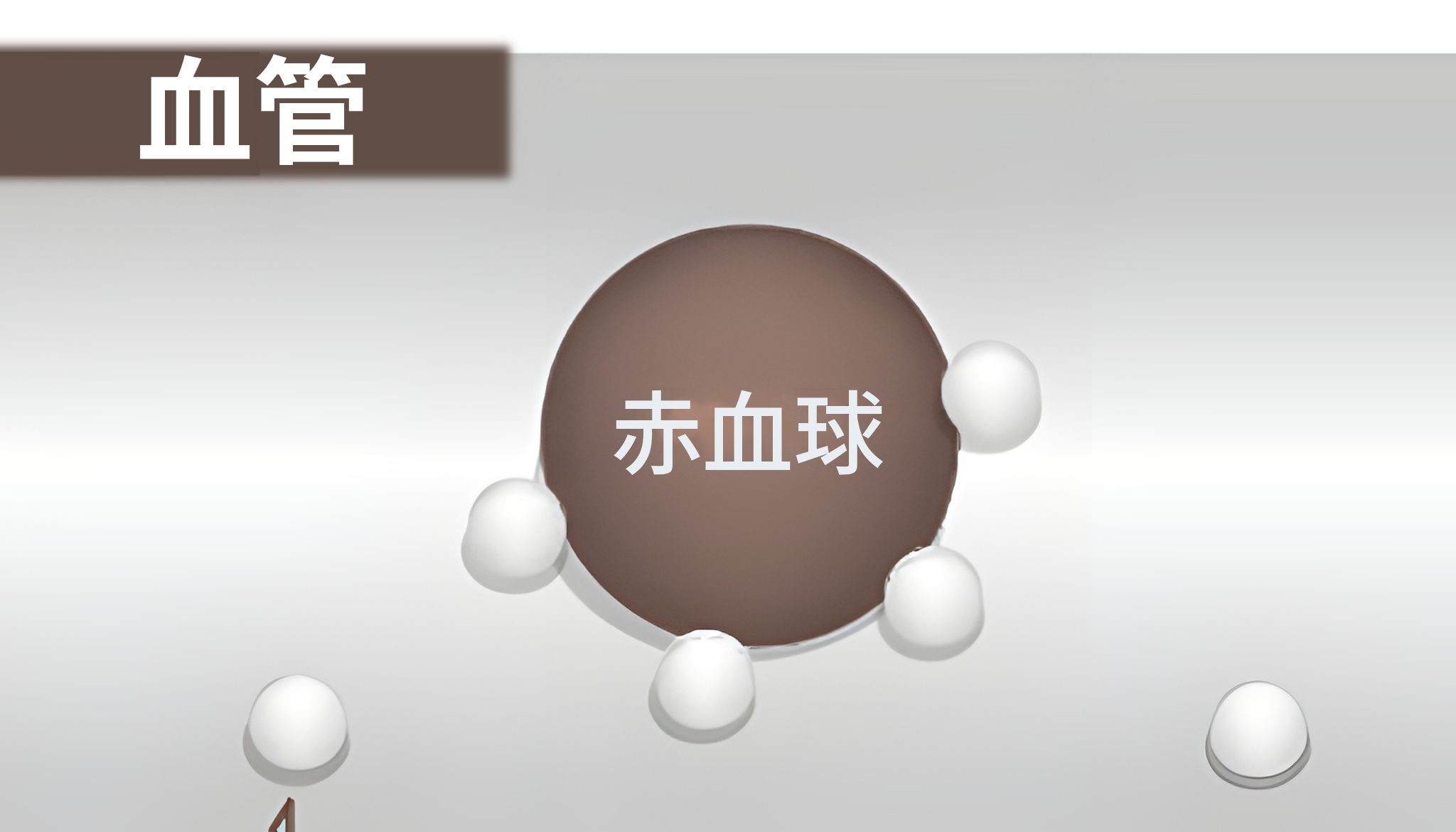 赤血球に酸素分子が付着している血管内の拡大図