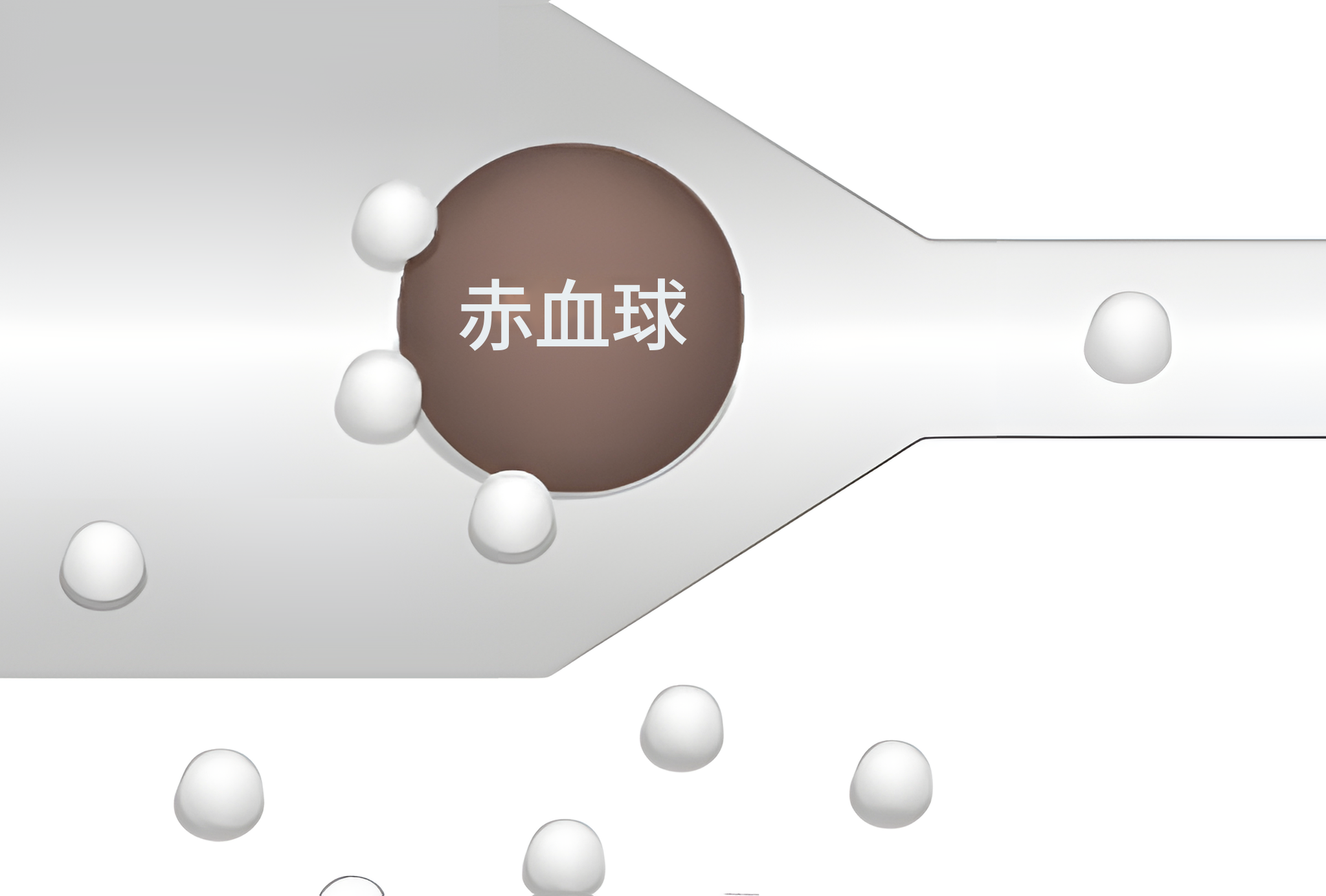 血管の外に酸素分子が残っている拡大図