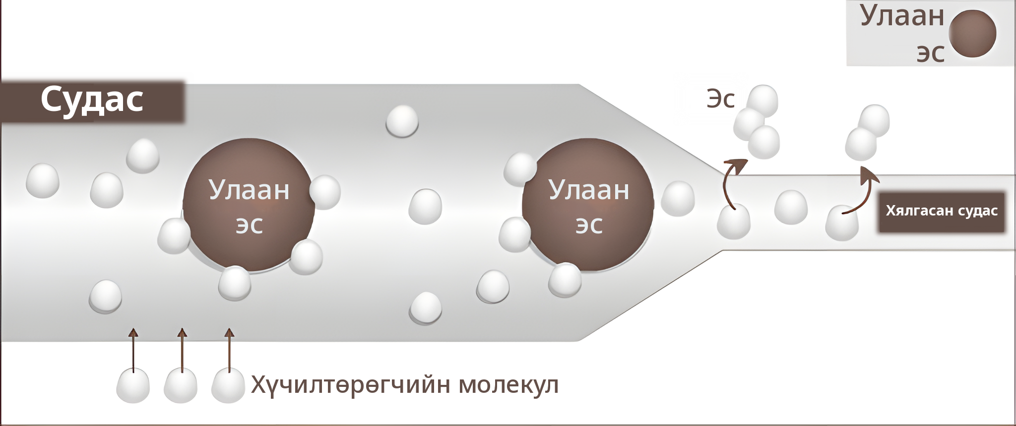Өндөр даралтын үеийн судасны зураг — хүчилтөрөгчийн молекул цусанд уусч, хялгасан судас болон эс хүртэл хүрч буй байдал