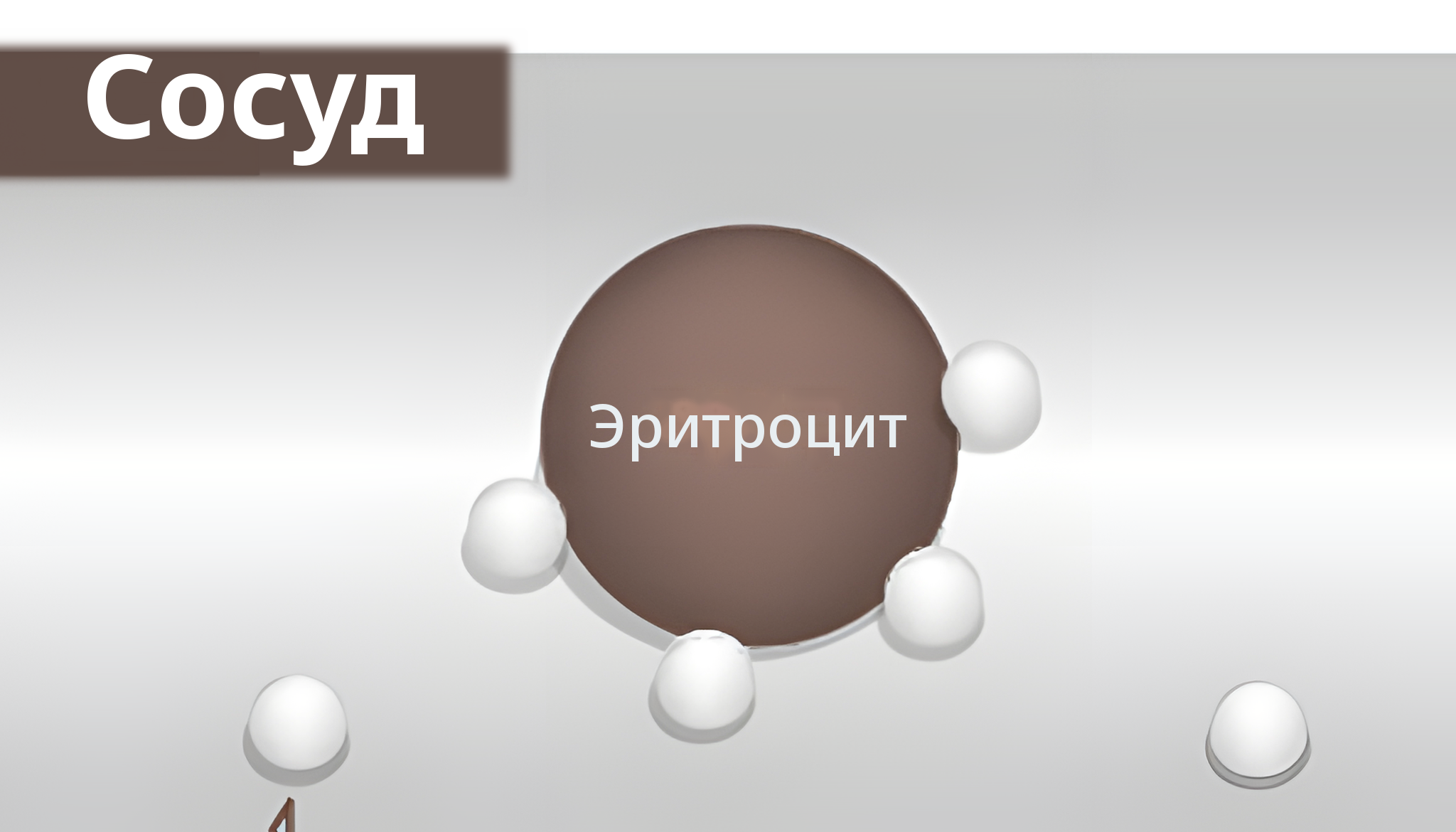 Увеличенная схема внутренней части сосуда, где молекулы кислорода связаны с эритроцитами