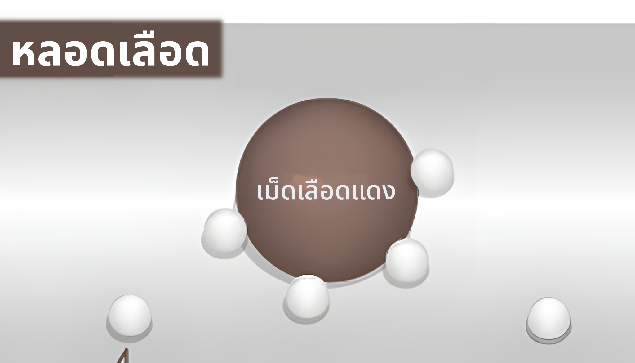 ภาพขยายภายในหลอดเลือดที่โมเลกุลออกซิเจนเกาะอยู่กับเม็ดเลือดแดง
