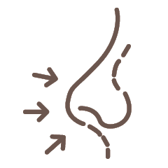 코 안쪽으로 화살표가 향하는 코 옆모습 아이콘