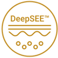 Круглая линейная иконка со срезом кожи и обозначением DeepSEE